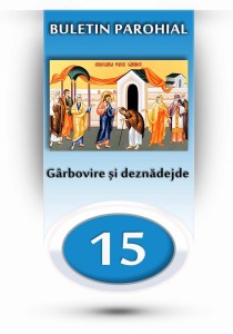 nr.15 - femeia garbova