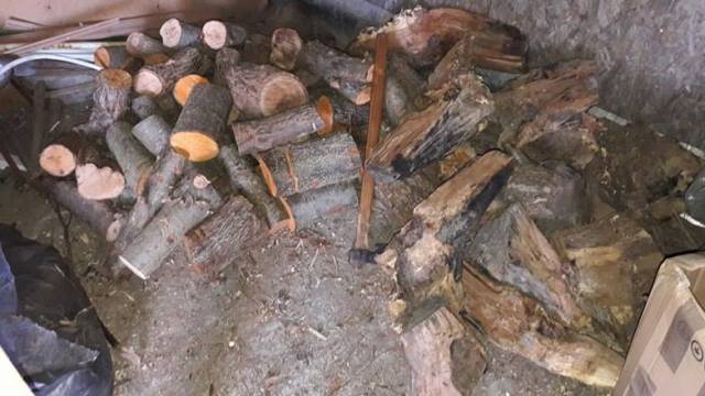 15571099_948167115328096_427816411_n