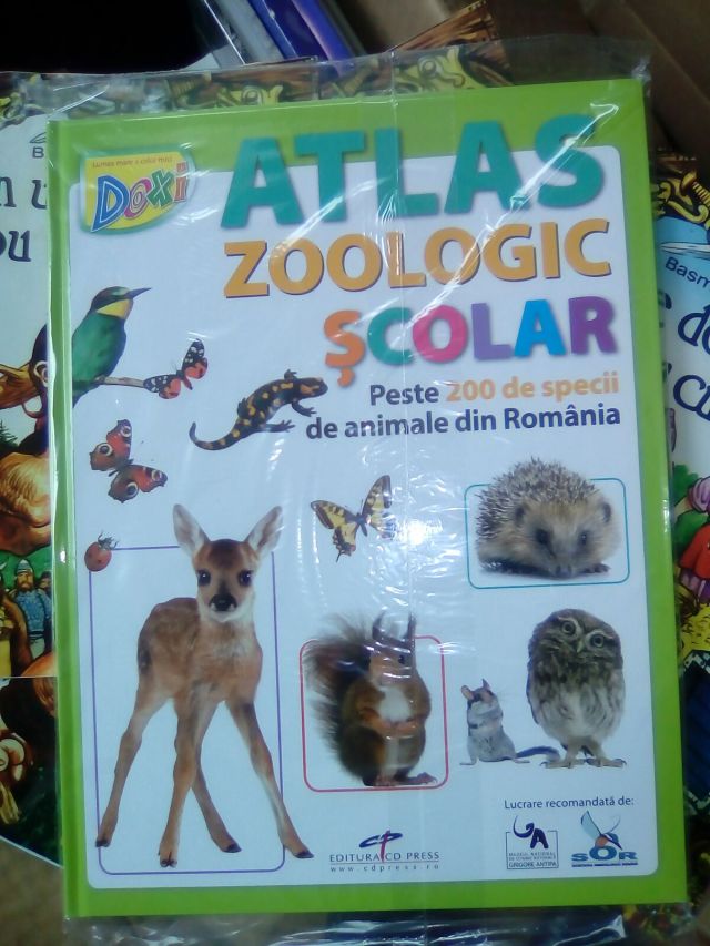 WhatsApp Image 2017-04-09 at 14.00.35