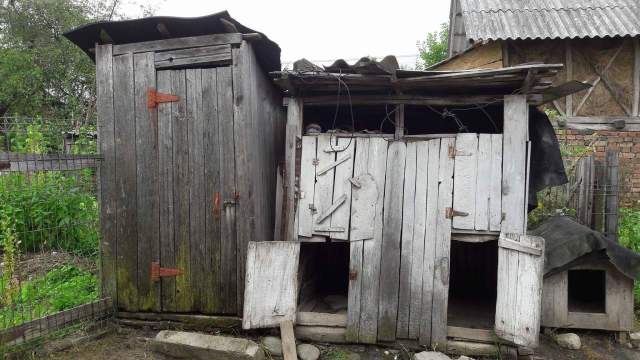 received_1131650356979770