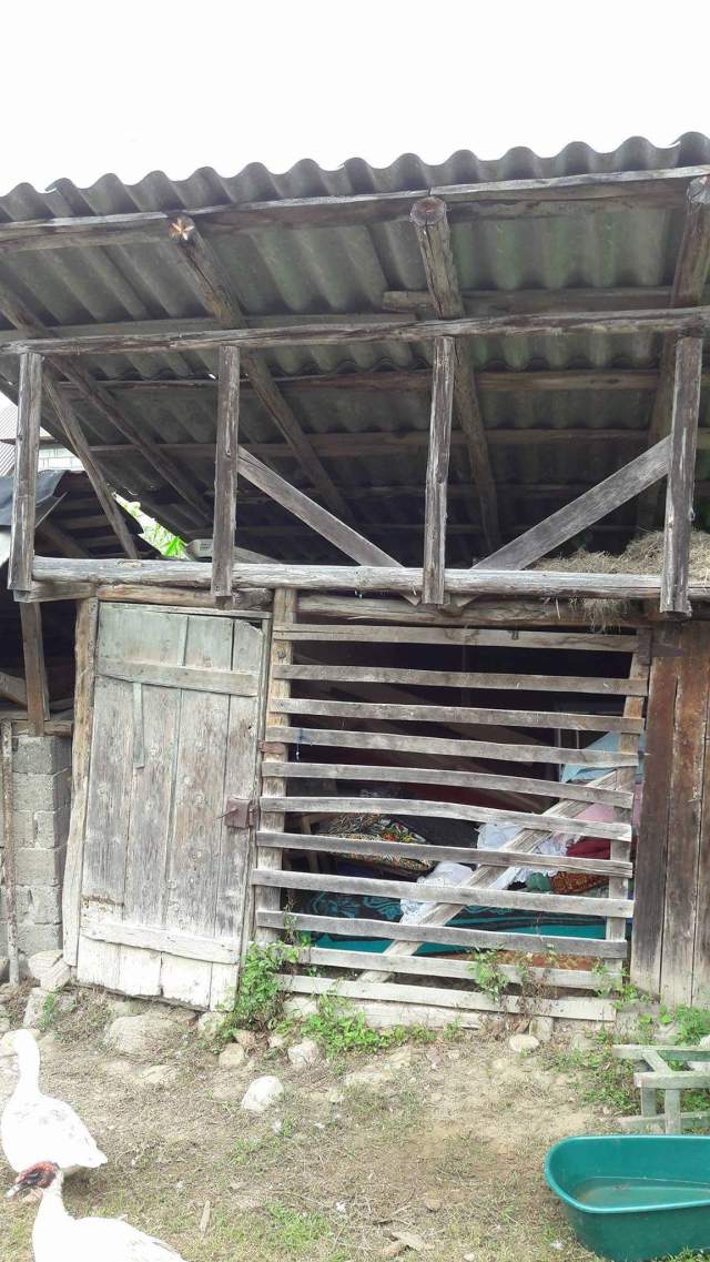 received_1131650456979760