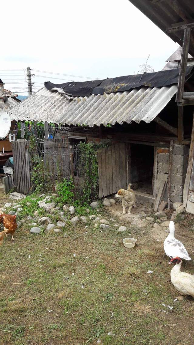 received_1131650473646425