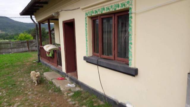 received_1131650623646410